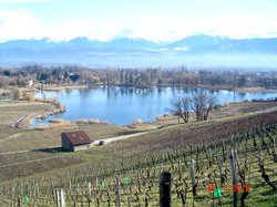 rando santé: La CroiX de St André