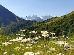 2024.07.14 Le Corbier, col d'Arves