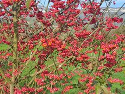 2024.10.30 La Boucle du Château de Choisel