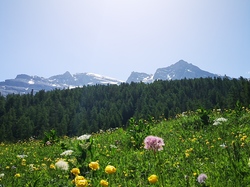 2024 - Séjour botanique/rando J3