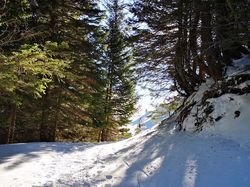 2025.02.04 Le col des Ayes