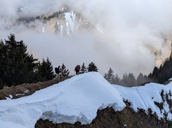 2025.03.25 Par du mouton