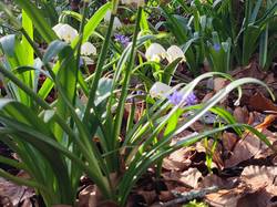 2025.03.26 Le rocher de Manettaz