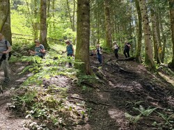 2025.05.14 Les marais de Bourget dn huile