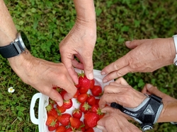 2025.05.19 La Chaparayonne