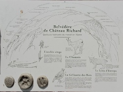 2025.05.25 La croix du signal