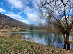 2025.06.02 Lac St Clair, Détrier