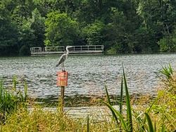 2025.06.04 Lac de Ste Hélène du lac