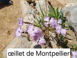 2025.07.15 Col de la Charmette