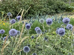 2025.09.01 VILAR D'ARÈNE