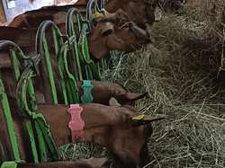 2025.09.13 J1-Vercors - Méaudres