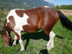 2025.09.29 Boucle autour de Pau