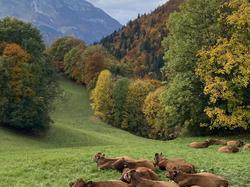 2025.10.19 Chalet et sommet de Massoly