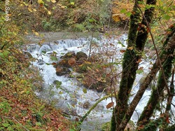 2025.10.22 Le long du Cernon, Chapareillan