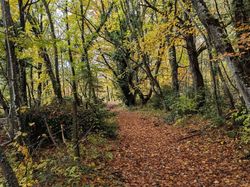 2025.10.30 Col de Marocaz