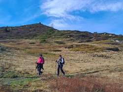 2025.11.13 Boucle du grand chat