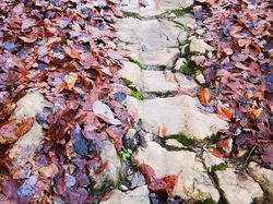 2025.12.09 Sortie au-dessus de Lathuile