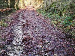 2025.12.09 Sortie au-dessus de Lathuile