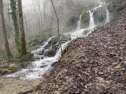 2025.12.18 Chambéry - Circuit des Eléphants