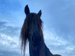 2025.1215 Château de Beauregard