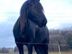 2025.1215 Château de Beauregard