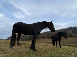 2025.1215 Château de Beauregard