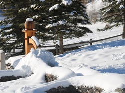 2025.24.01 - Raquettes : Sommet du Buchet