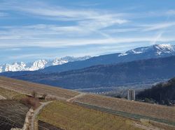 2026.01.14 Les vignes de Chignin
