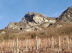 2026.01.14 Les vignes de Chignin