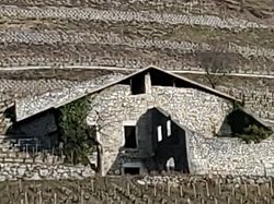 2026.01.14 Les vignes de Chignin