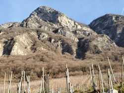 2026.01.14 Les vignes de Chignin