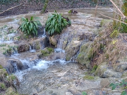 2026.02.04 ST BALDOPH