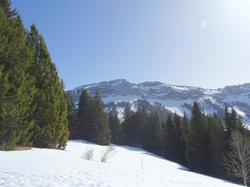 2026.03.08 Le crêt du Char