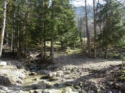 2026.03.08 Le crêt du Char