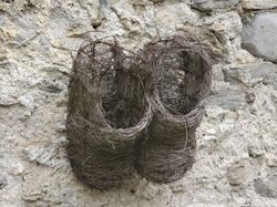 2026.03.11 Chapeau Montbenoit