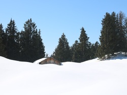 2026.03.19 Chalet du crêt Coquet