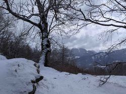 2026.03.31 Autour de Montgelafrey