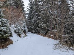 2026.03.31 Autour de Montgelafrey