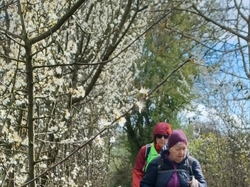 2026.04.01 Marais des Naux