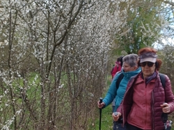 2026.04.01 Marais des Naux