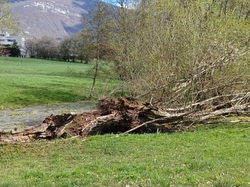 2026.04.01 Marais des Naux