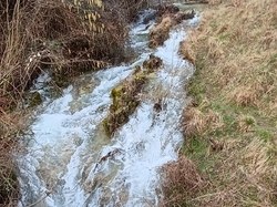 Arbin Cruet en boucle