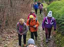 Arbin Cruet en boucle