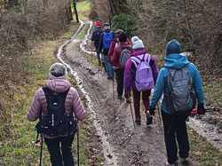 Arbin Cruet en boucle