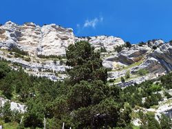 Aulp du Seuil (Chartreuse)