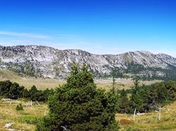 Aulp du Seuil (Chartreuse)