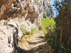 Aulp du Seuil (Chartreuse)