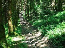 Autour de Saint Sixte