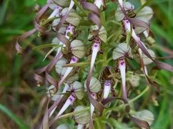 Autour de St Jean de la Porte