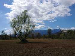 Autour de Ste Hélène